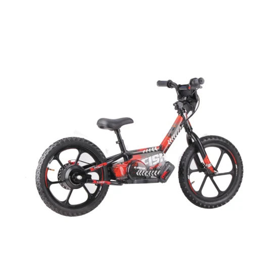 Enfants Mini vélo électrique sécurité léger Ebike 36 V 2.5ah 250 W moteur de moyeu sans brosse frein à disque vélo d'équilibre électrique